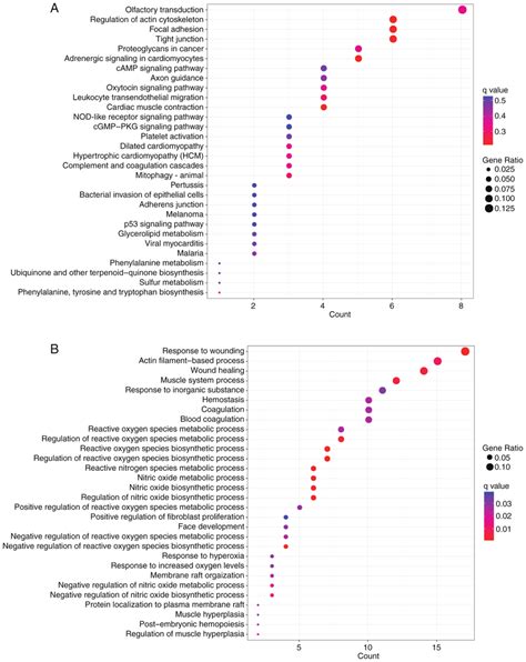 convert biological ID with KEGG API using clusterProfiler.